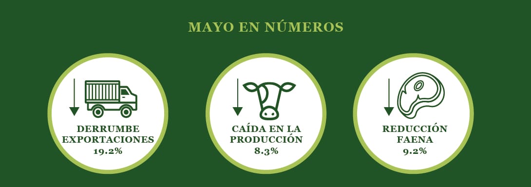 Comportamiento de las variables del sector cárnico vacuno en los primeros 5 meses del presente año.