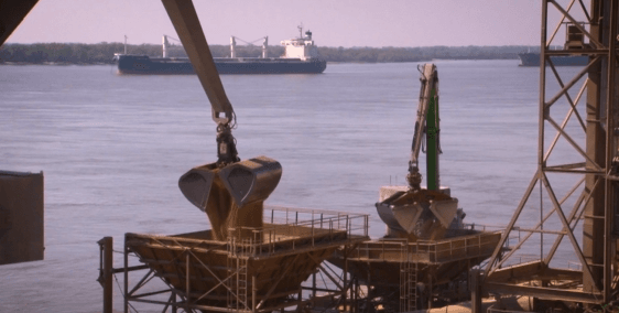 Cuál es el peso de las compañías nacionales en la exportación de granos y subproductos