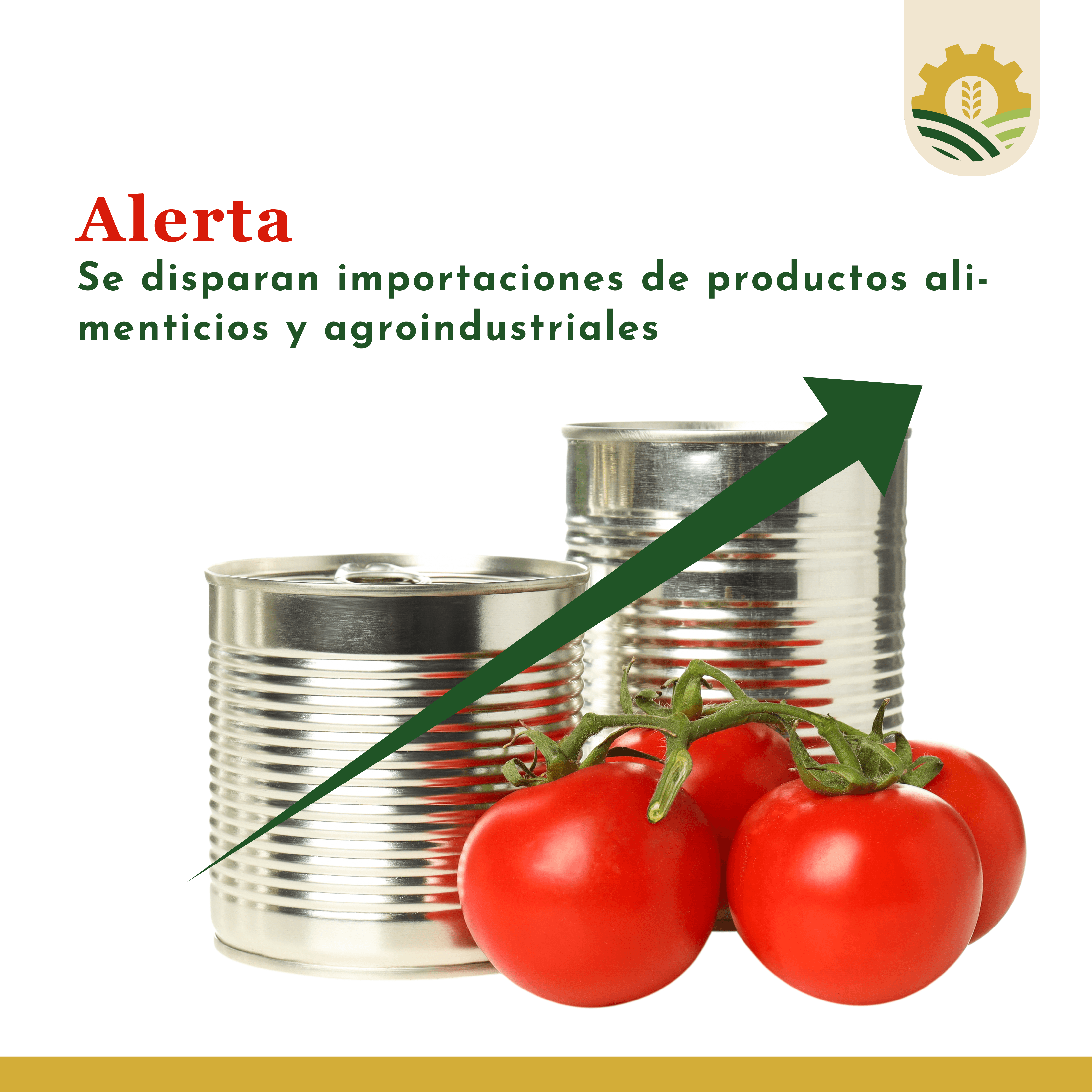 Alerta: Se disparan importaciones de productos alimenticios y agroindustriales