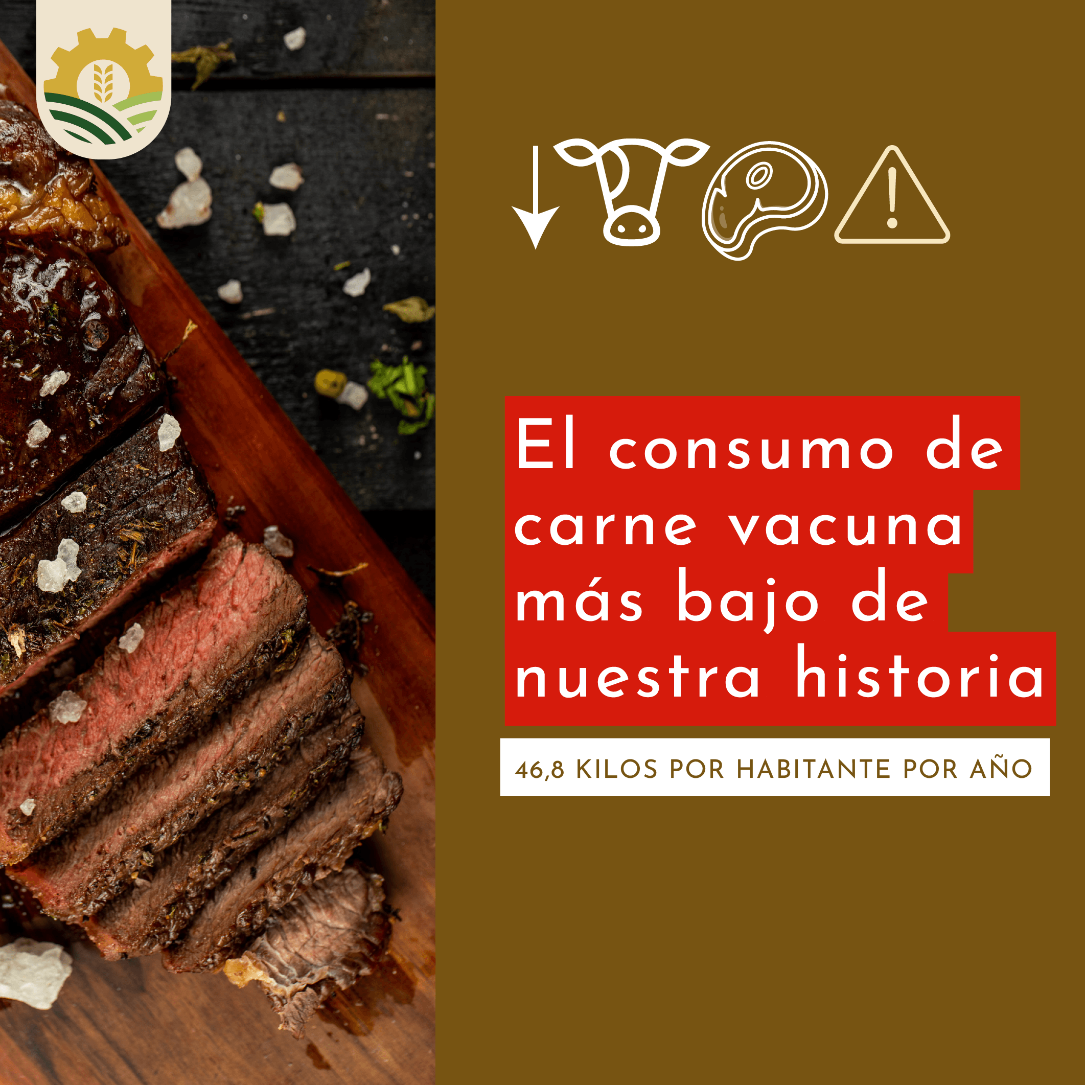 Acumulado del primer año de gestión del nuevo gobierno en el sector cárnico vacuno.