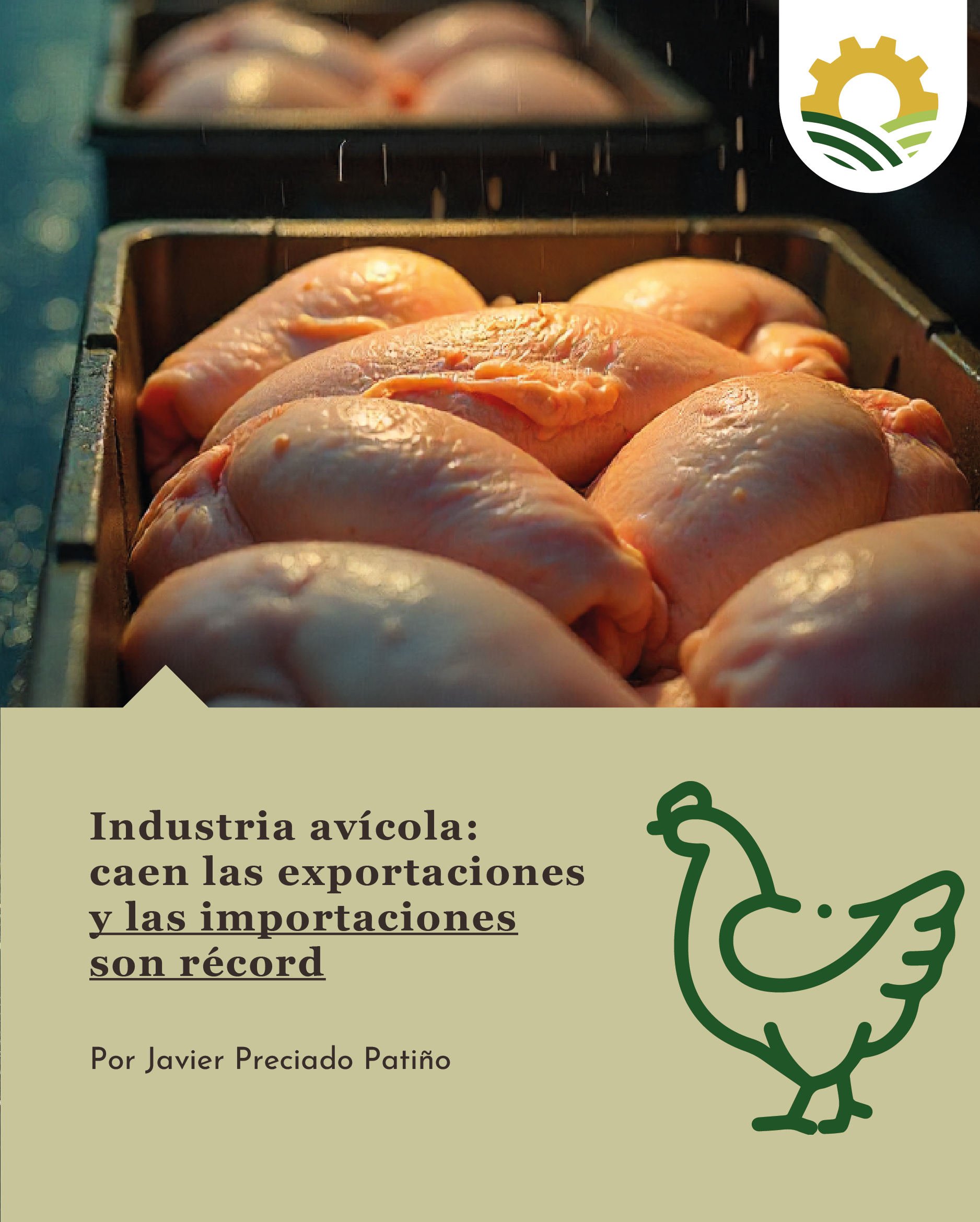 Industria avícola: caen las exportaciones y las importaciones son récord