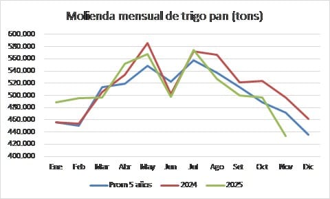 Se profundiza la caída de la actividad molinera y maltera